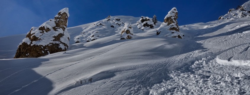 polychromelab freeride winterjacken onlineshop kaufen